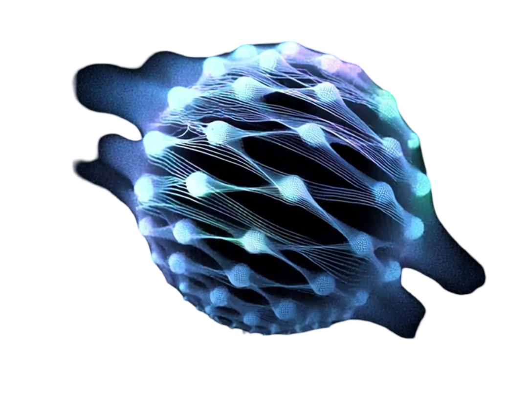 hero banner animation fallback